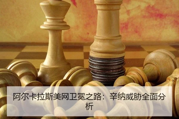 a-er-ka-la-si-mei-wang-wei-mian-zhi-lu-xin-na-wei-xie-quan-mian-fen-xi-3-503.jpg