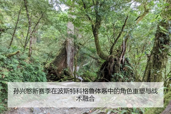 sun-xing-min-xin-sai-ji-zai-bo-si-te-ke-ge-lu-ti-xi-zhong-de-jue-se-zhong-su-yu-zhan-shu-rong-he-2-745.jpg