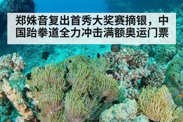 郑姝音复出首秀大奖赛摘银,中国跆拳道全力冲击满额奥运门票